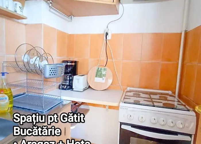 アパート Studiou Relaxant Langa Mare *